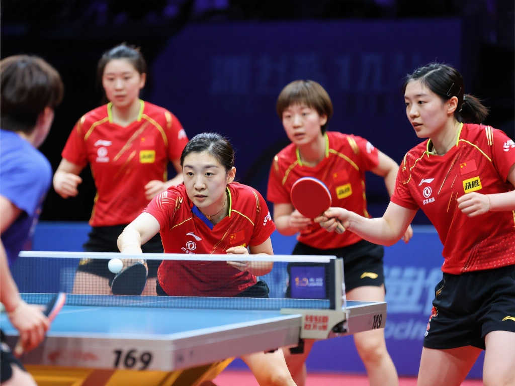 证明了对年 证明了对年