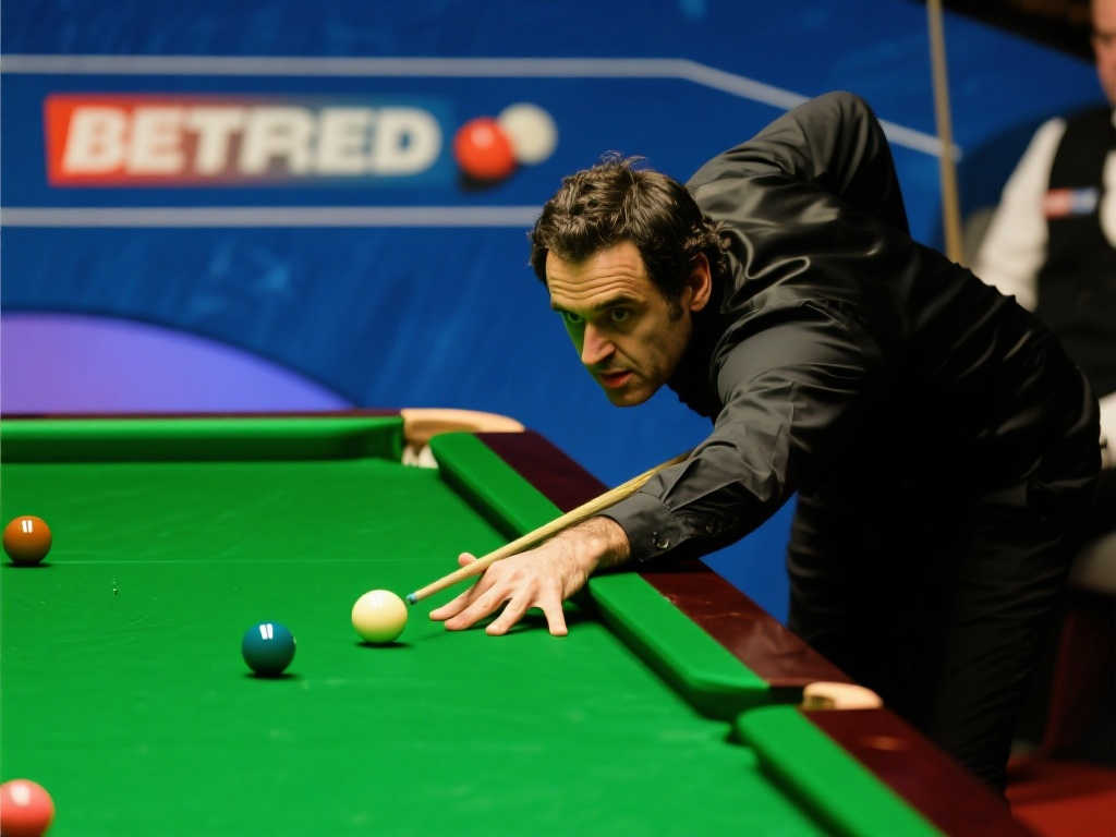 迷的信任 迷的信任