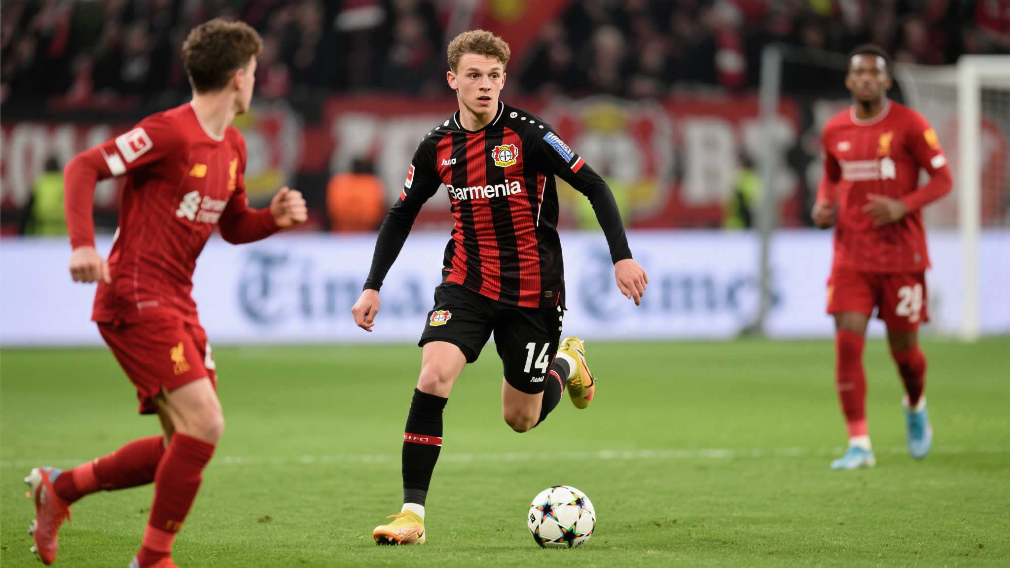 本次赛事不 本次赛事不